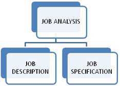 Job analysis in hotel industry