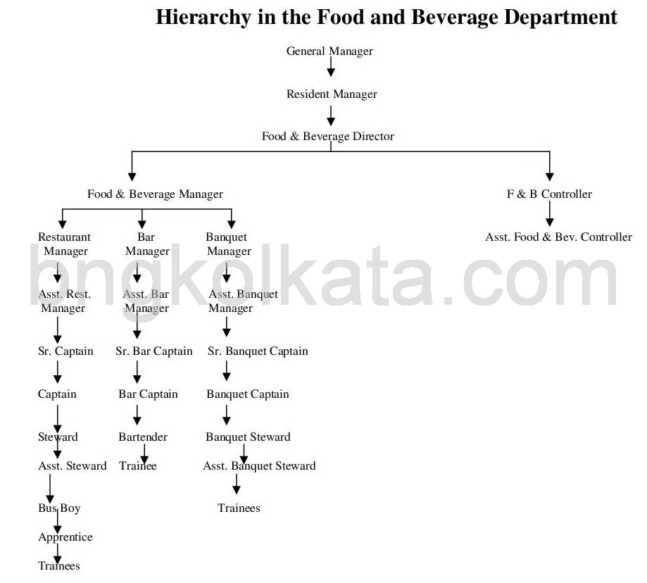 Food and Beverage Service hierarchy